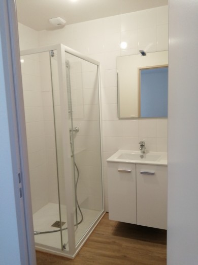 salle d'eau chambre parentale