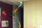 periscolaire_Irlande_003